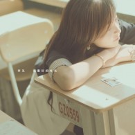图库下载安装免费版苹果版